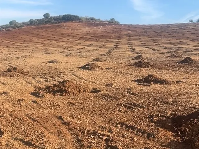Terreno de tierra rojiza removida con montones de tierra y una loma al fondo